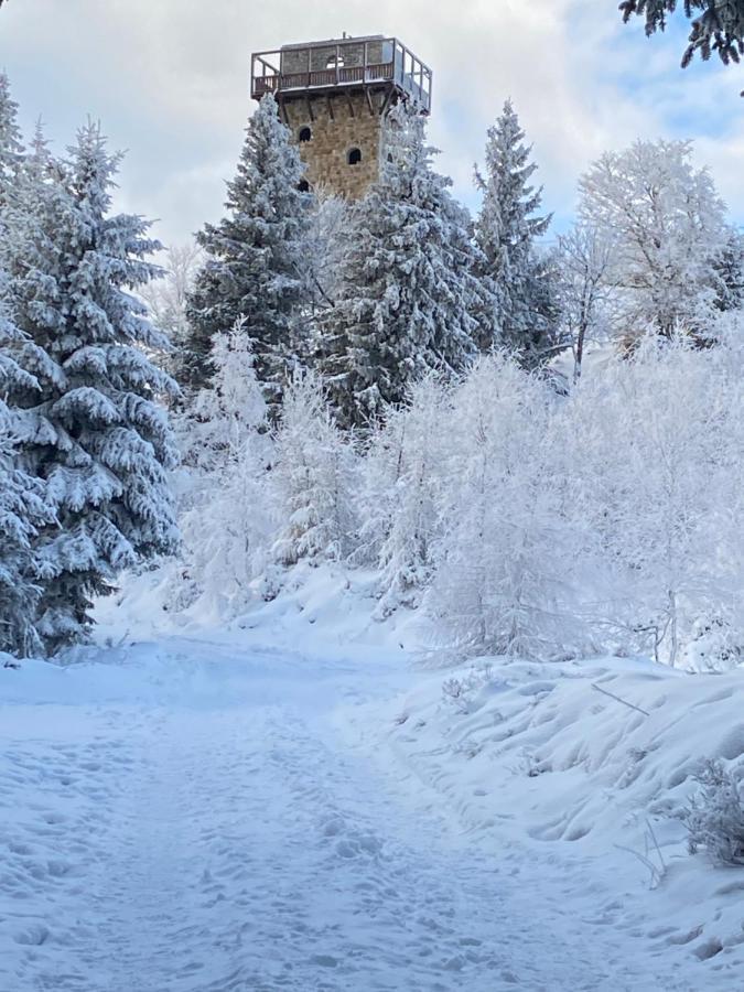 Apartamento Platynowy Szklarska Poręba Exterior foto