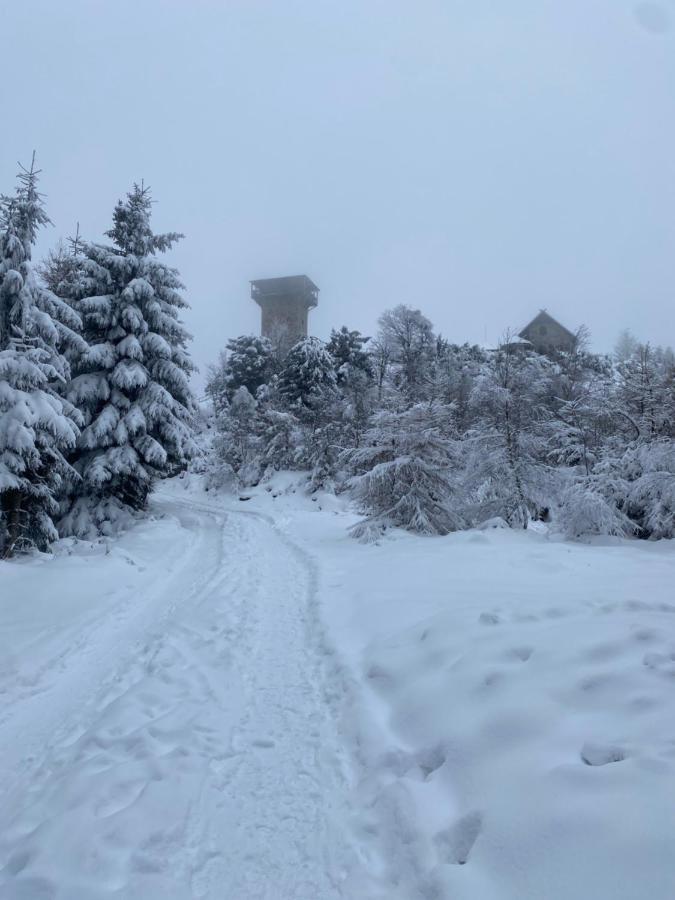 Apartamento Platynowy Szklarska Poręba Exterior foto